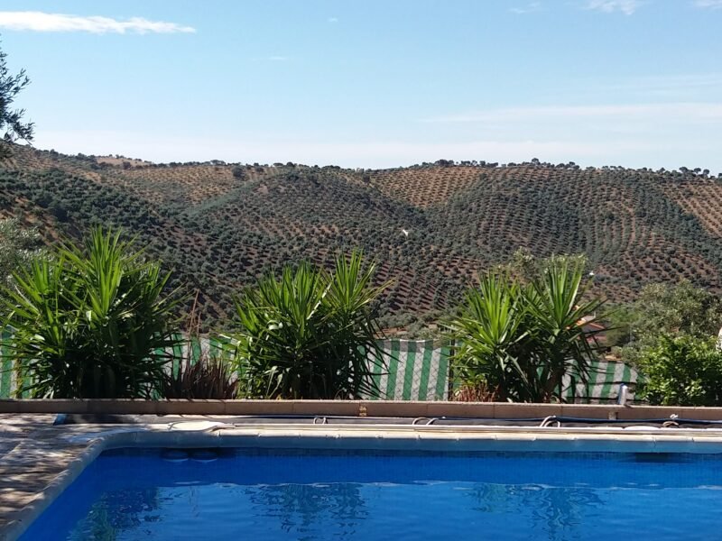 Villa, style andalou, avec piscine privée à Cordoue, ensoleillée et pas de vis à vis