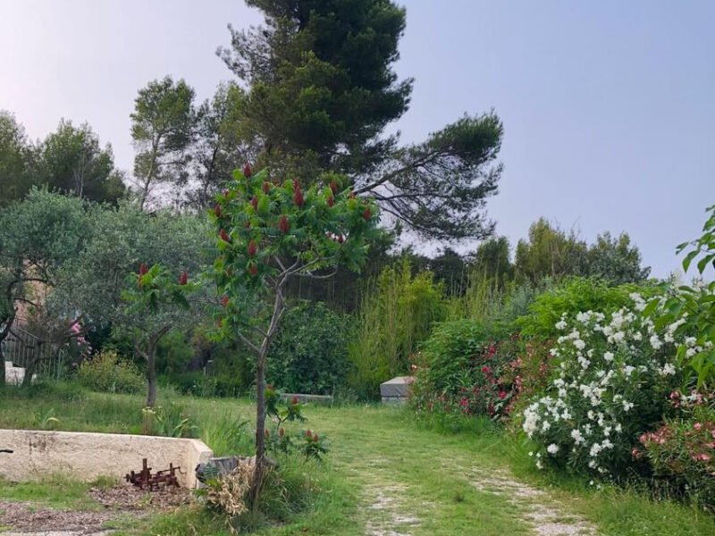 Gîte en hauteur sur les Garrigues