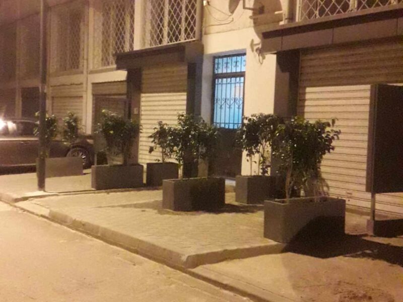 F2 propre a Alger